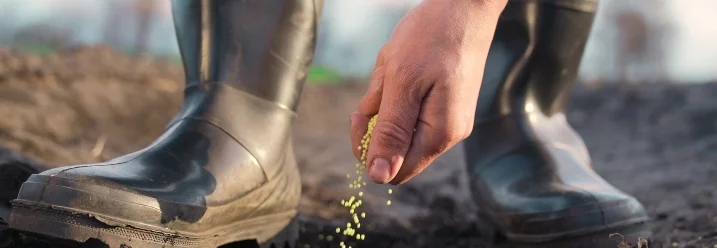 Person sät Saatgut in den Boden